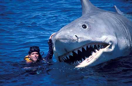 Jaws The Revenge filming mechanical shark