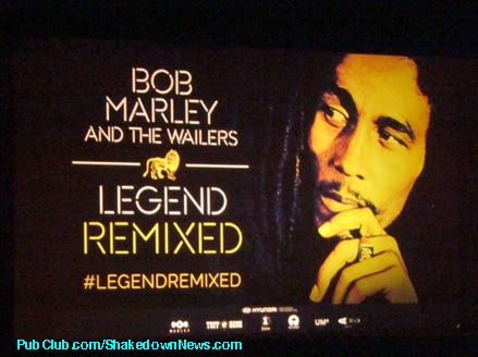 Bob Marley Legends Remix Electric Dance Music