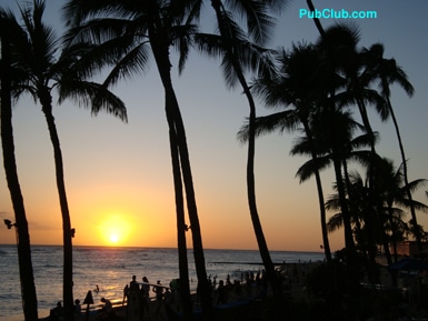 Waikiki Beach sunset palm trees