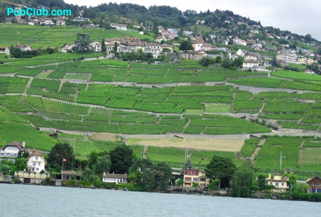 Switzerland wine country Lake Geneva