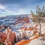 Bryce Canyon National Park winter