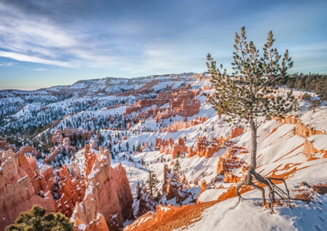 Bryce Canyon National Park winter
