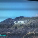 Hollyweed-sign