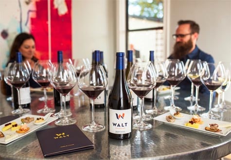 Sonoma County wine tasting Walt wines