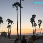 Venice Beach Boardwalk sunset palm trees