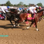 Kentucky Derby race horses