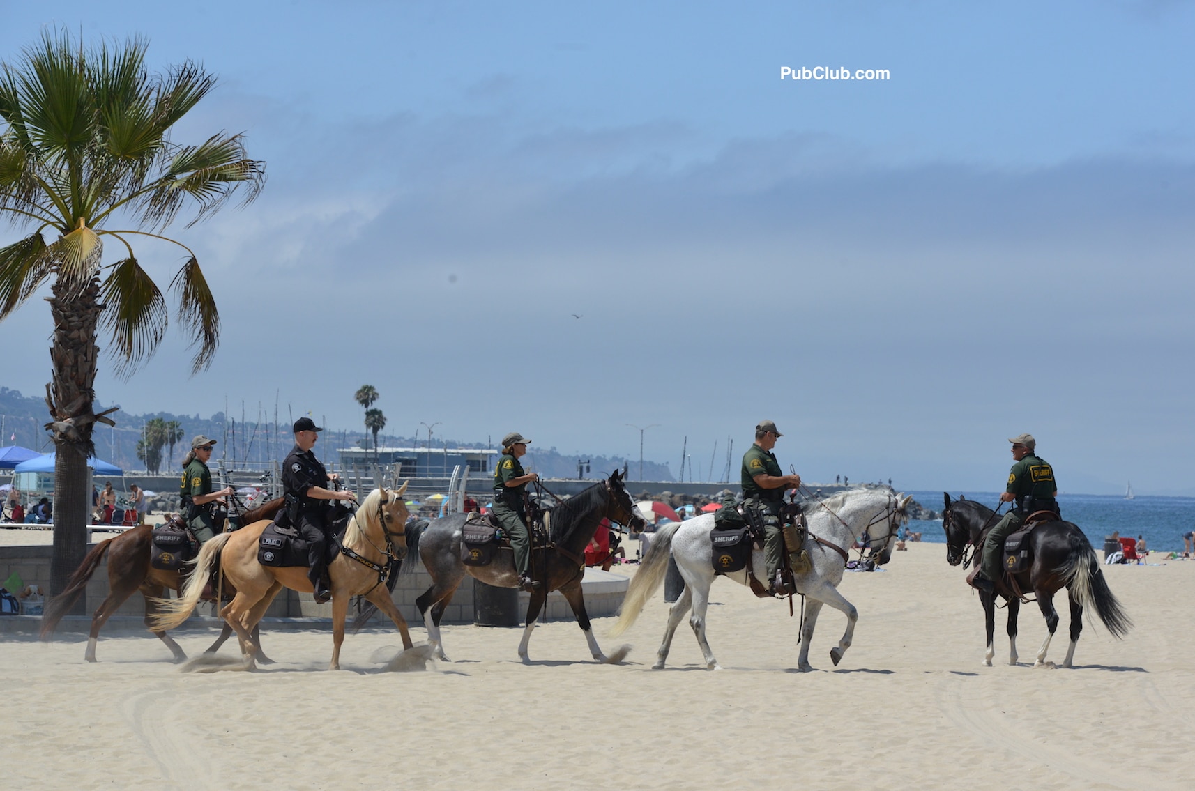 Hermosa Beach 4th Of July Sheriff's Dept horses on beach