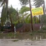 Mangrove Mama's Florida Keys Hurricane Irma