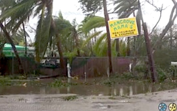 Mangrove Mama's Florida Keys Hurricane Irma