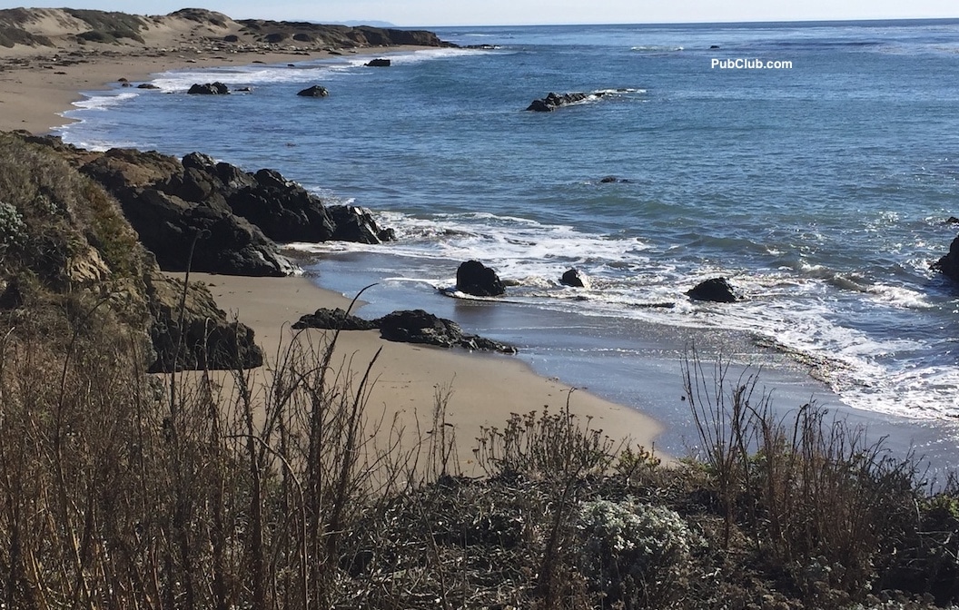Elephant Seal beach Central California coast
