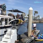 Yacht Club Opening Day Redondo Beach CA