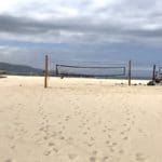 Hermosa Beach palm trees and beach volleyball