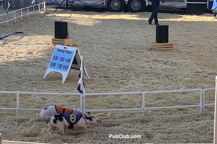 Orange County Fair pig races