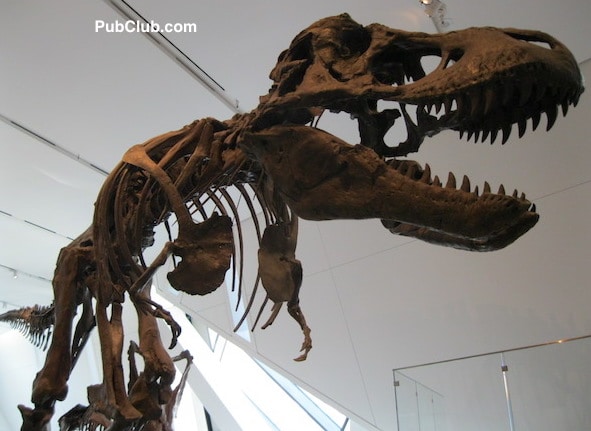 Royal Ontario Museum Toronto Royal Ontario Museum Toronto