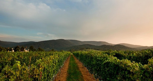 King Family Vineyards Virginia wineries