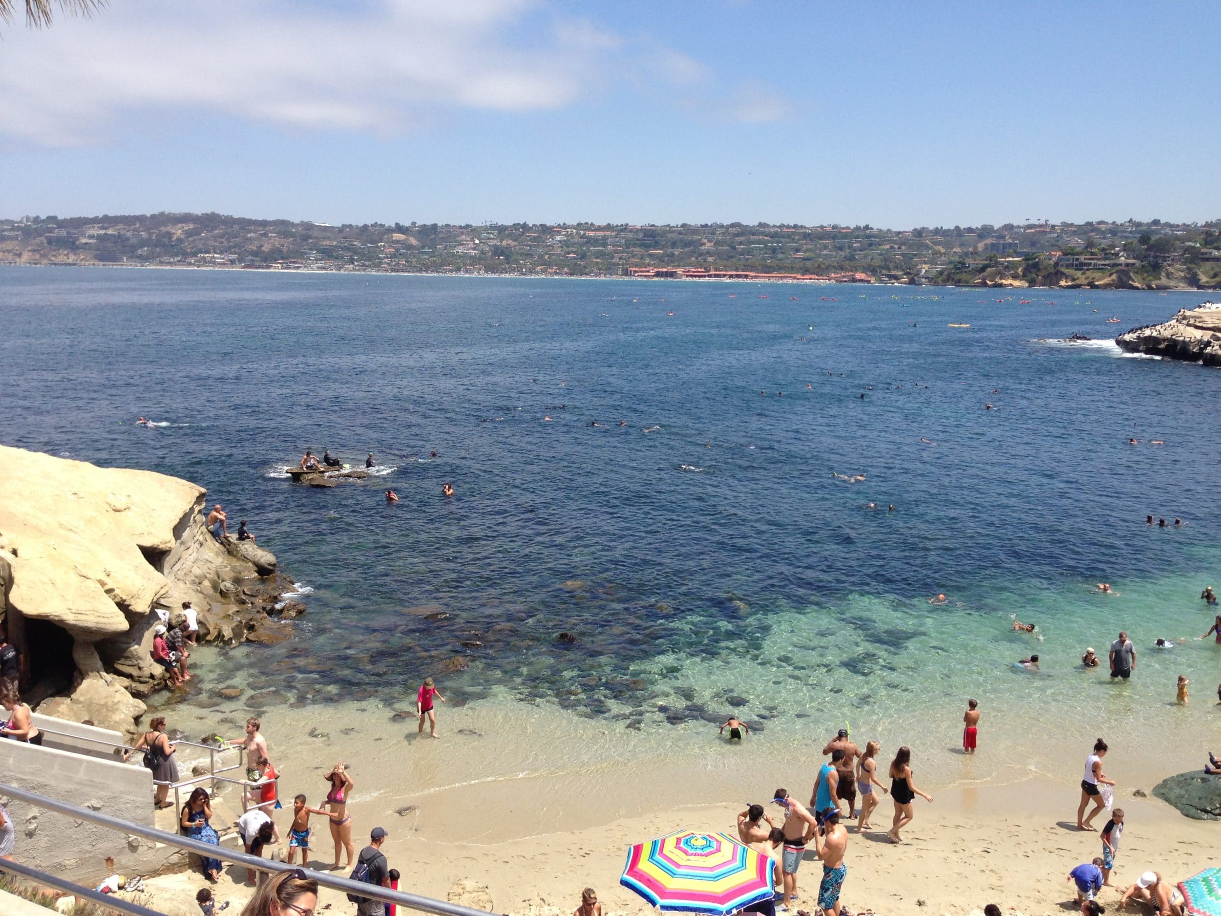 La Jolla Cove San Diego swimmers