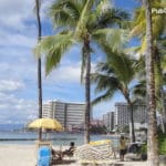 Waikiki Beach palm trees & hotels