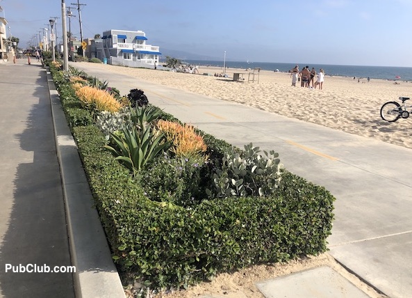 Manhattan Beach Strand landscaping
