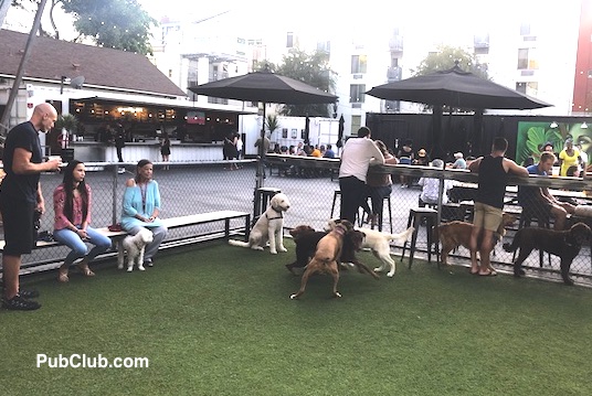 Quartyard San Diego Gaslamp bars dog park