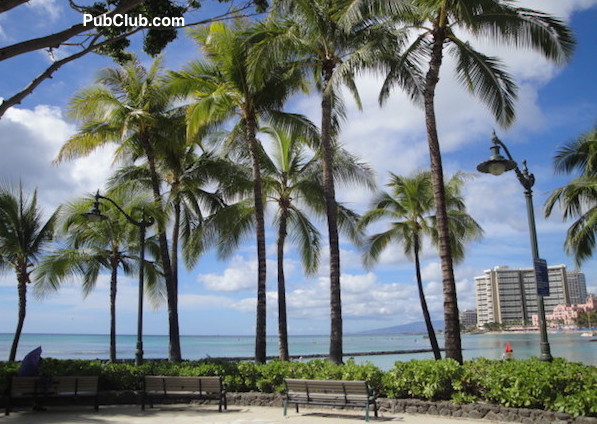 Waikiki Beach palm trees benches Waikiki Beach palm trees benches