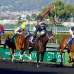 Horse racing