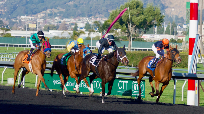Horse racing