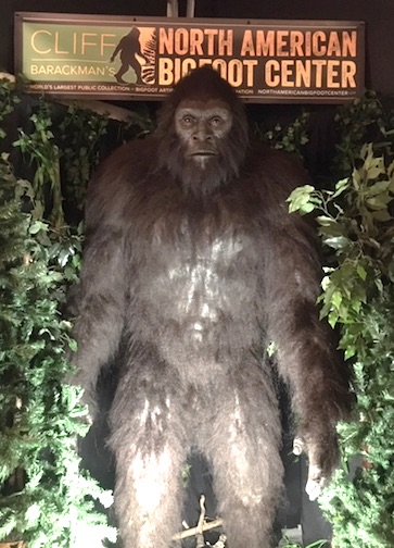 Bigfoot Museum Boring Oregon