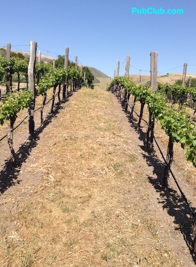 California Holman Ranch winery