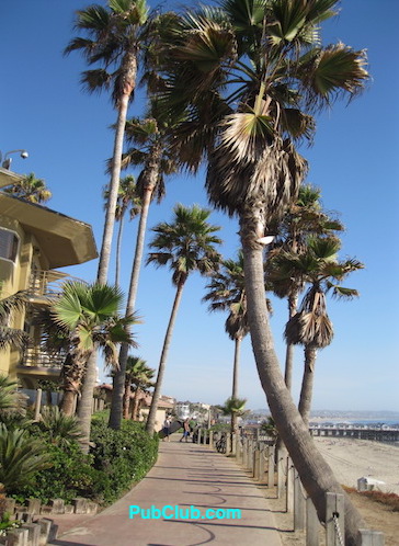 Pacific Beach palm trees to pier