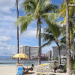 Waikiki Beach Honolulu palm trees