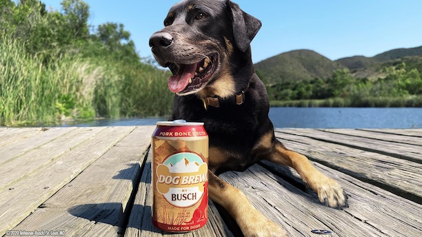 Dog Brew Busch beer