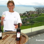 Switzerland winery Domaine du Daily Lake Geneva wine country