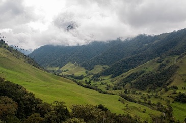 Colombian valley