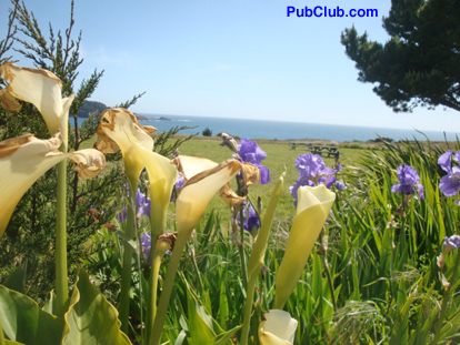Mendocino County scenic drives flowers