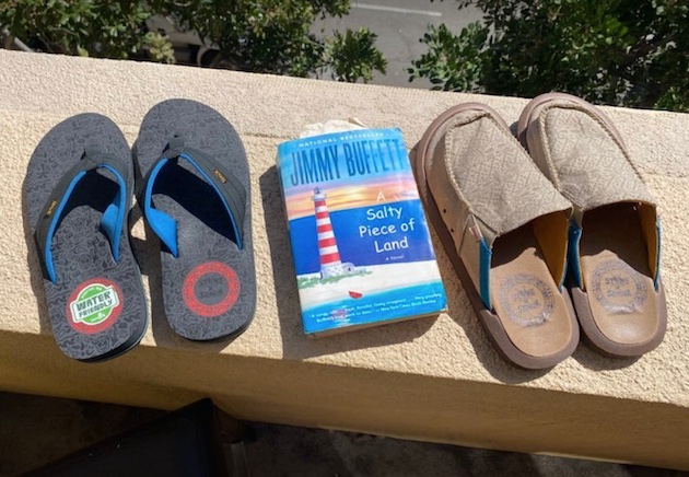 Sanuk Stone Brewing beachwear sandals flip flops