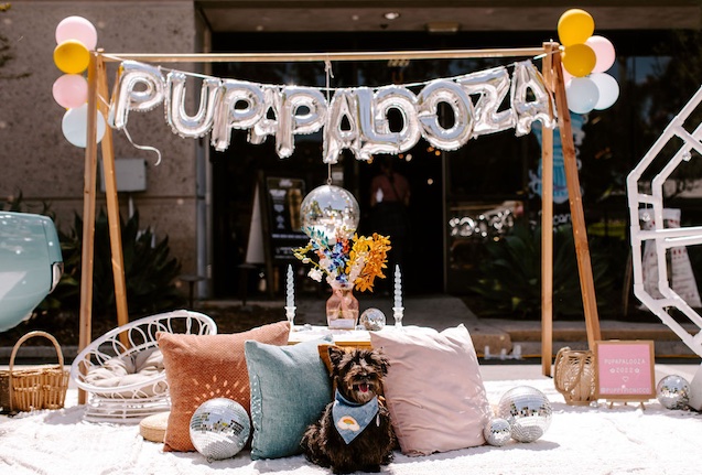 Pupapalooza Dog Festival San Diego