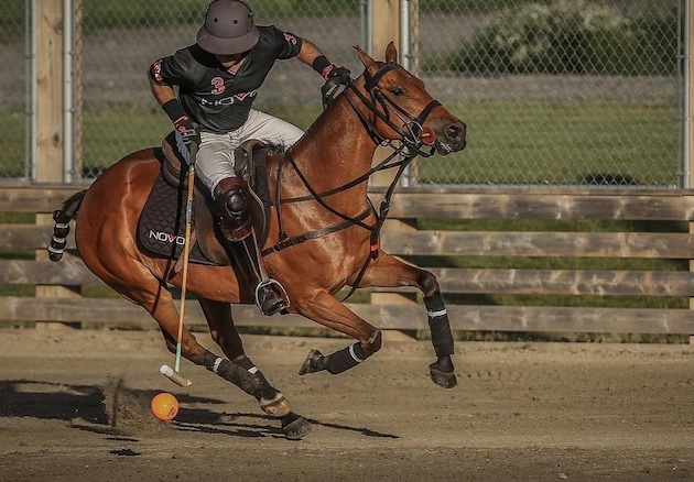 Meadow Brook Polo Club Long Island, N.Y. Meadow Brook Polo Club Long Island, N.Y.