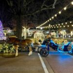 Tennessee Christmas Collierville carriage ride