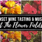 Carlsbad Flower Fields wine event