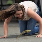 Calaveras County Jumping Frog Jubilee