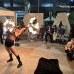 North Park Music Festival