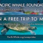 win a trip to Maui sweepstakes