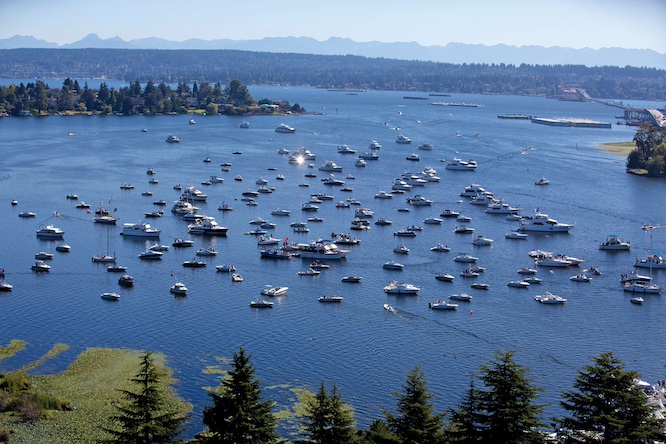 Washington Huskies football tailgate- party sailgating Washington Huskies football tailgate- party sailgating