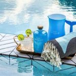 Gray Whale-Gin Coastal Refreshment Kit